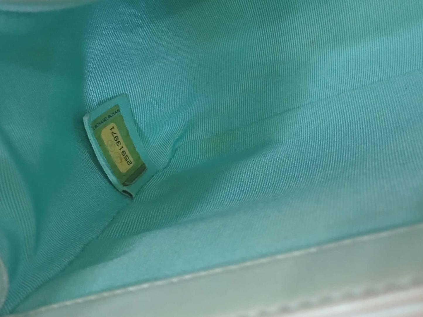 Chanel Leboy Chevron Iridescent Green Old Medium Series 25