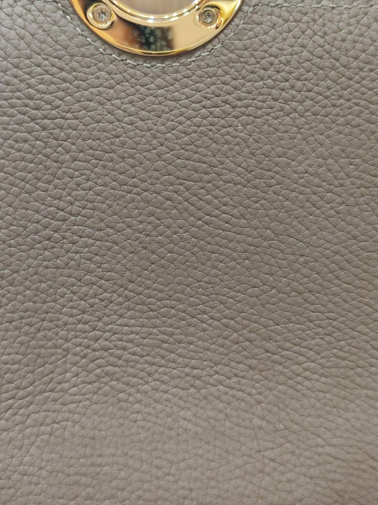 Moynat Rejane Bag Taupe BB