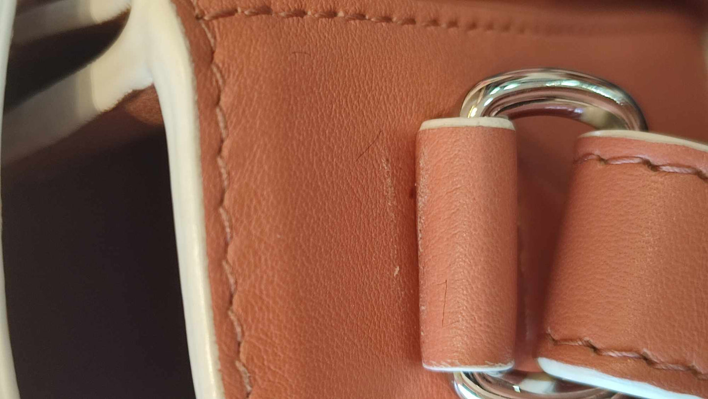 Loro Piana Artemis Salmon Pink Calfskin Bag