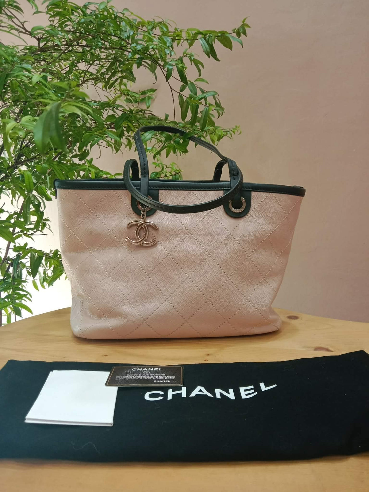 Chanel Totebag Light Pink Series 19