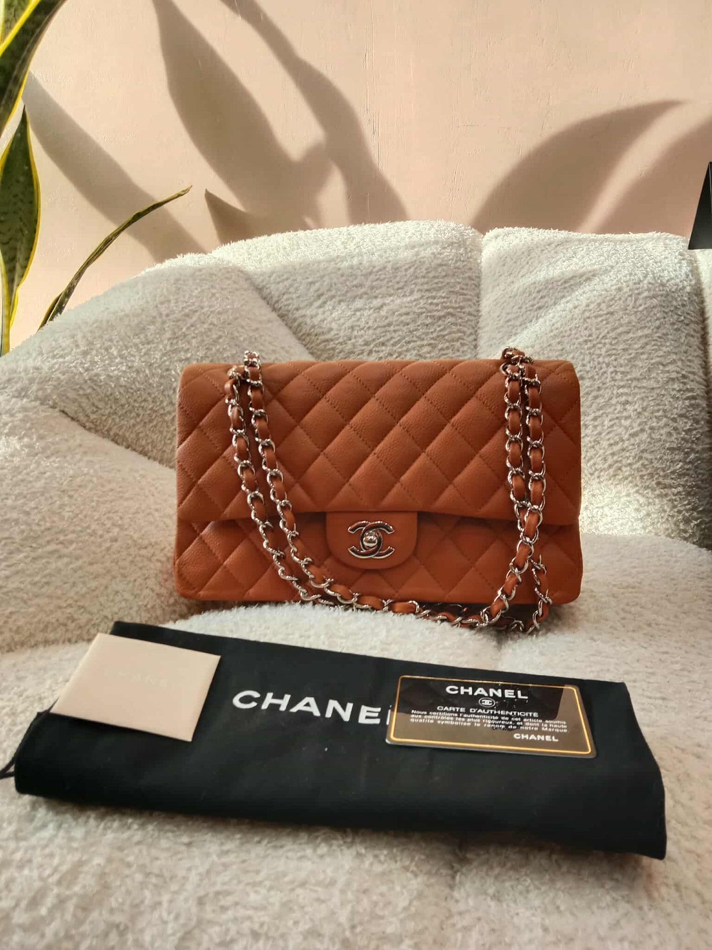 Chanel Classic Double Flap Medium Caramel Caviar Series 14