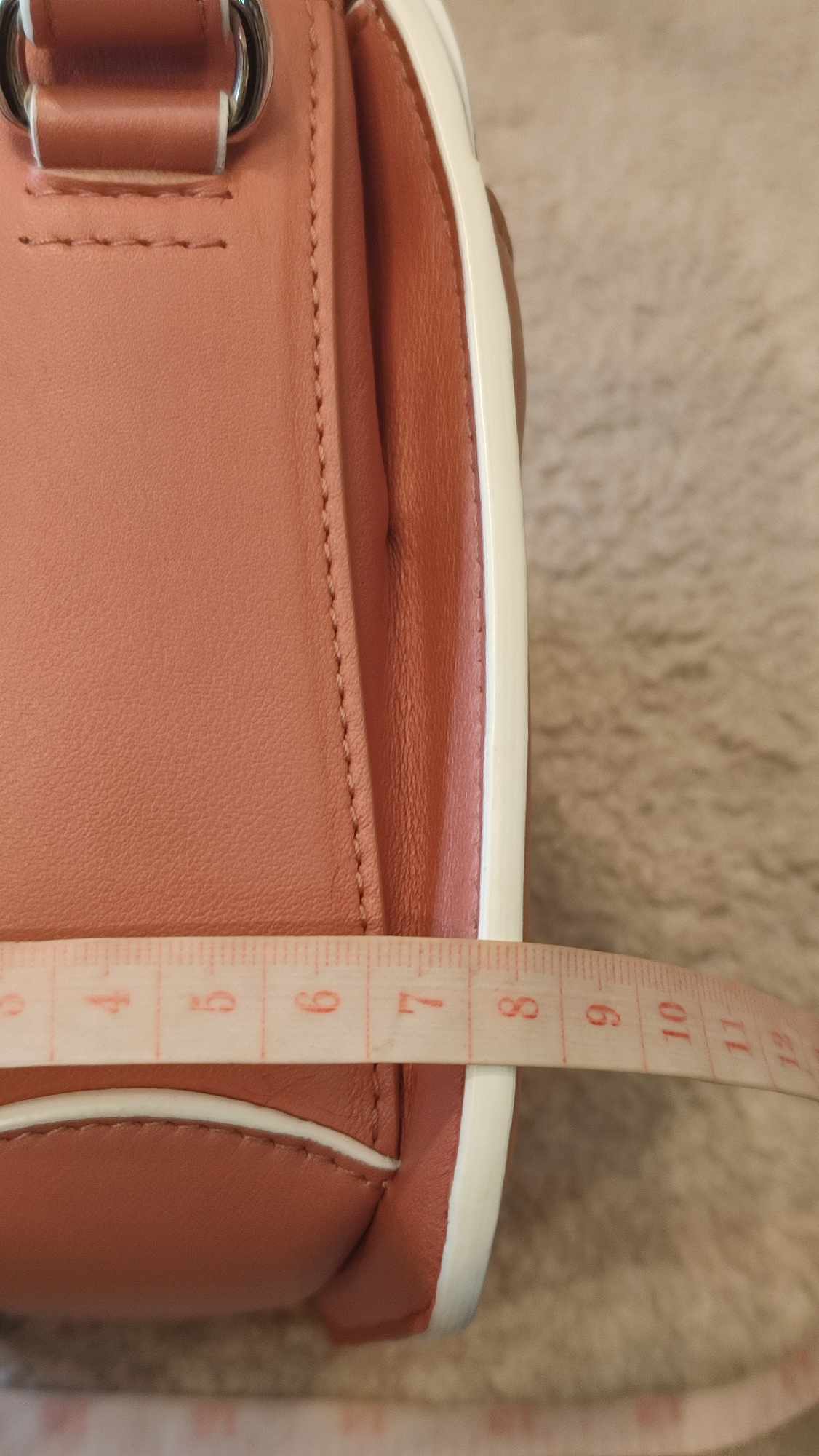 Loro Piana Artemis Salmon Pink Calfskin Bag