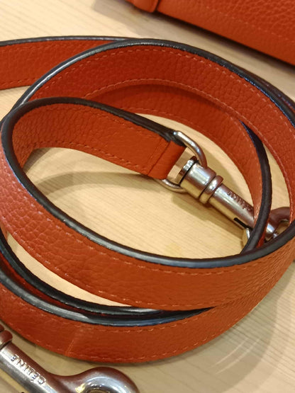 Celine Luggage Nano Red