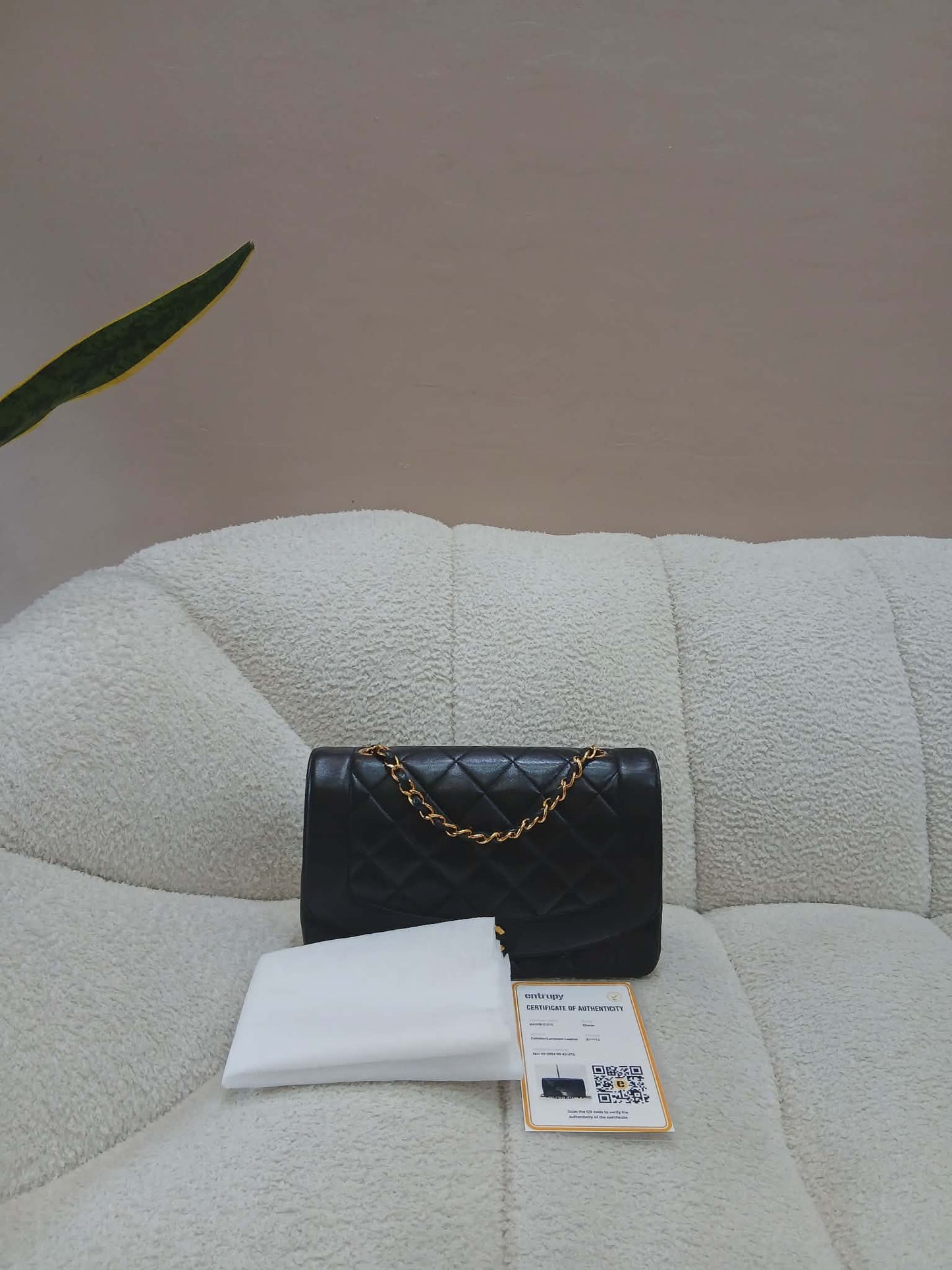 Chanel Diana Single Flap Quilted Lambskin Black Small Series 3