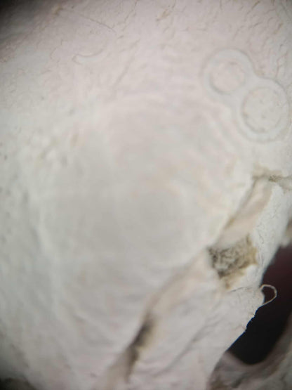 Hermes Evelyne TPM White Clemence Stamp O Square 2011