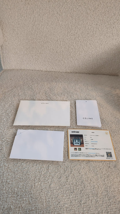 Celine Phantom Luggage Tricolor Bag