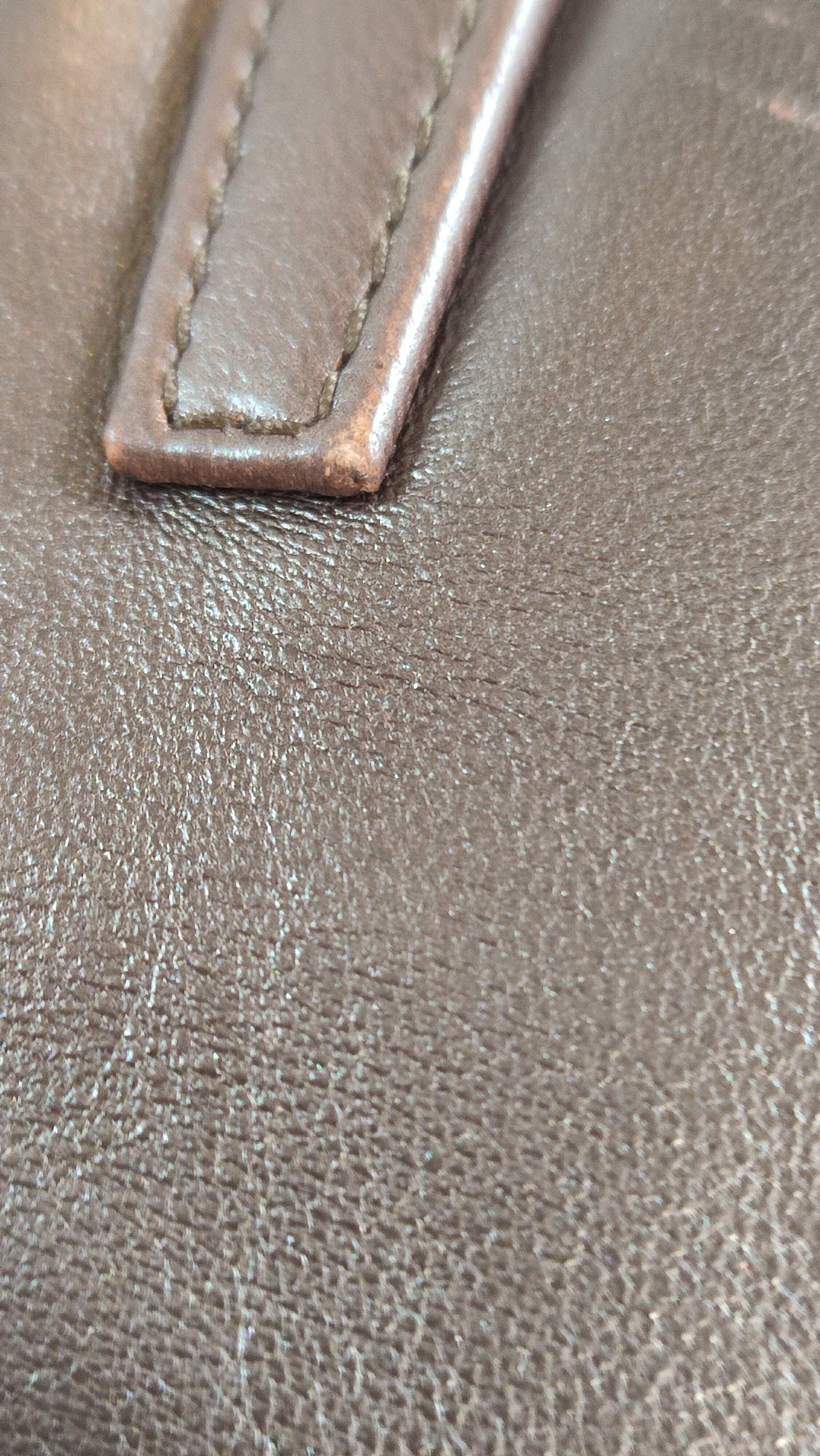 Loewe Brown Vintage Bag