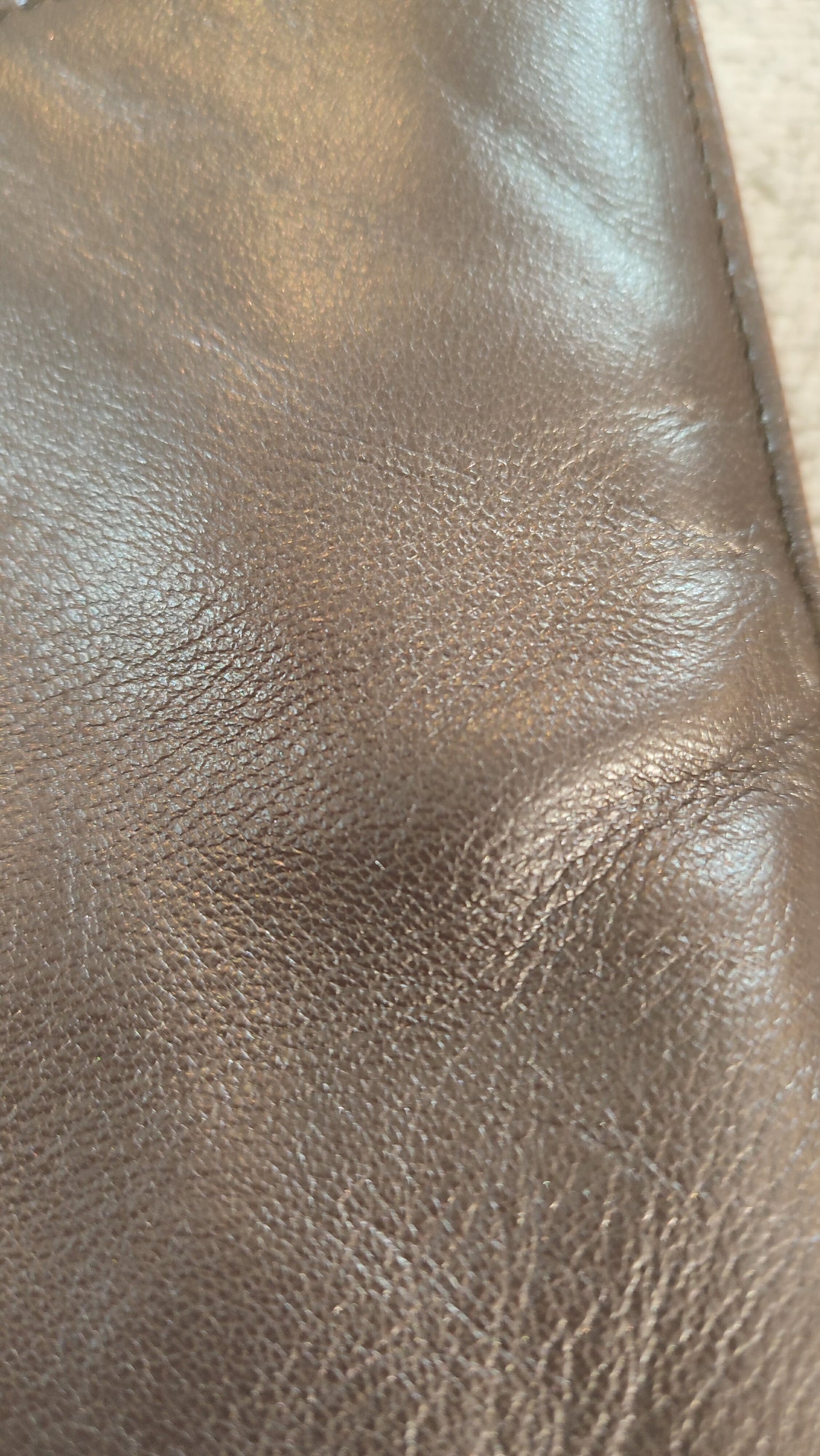 Loewe Brown Vintage Bag