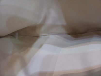 Chanel 25 Beige Caviar Medium Microchipped