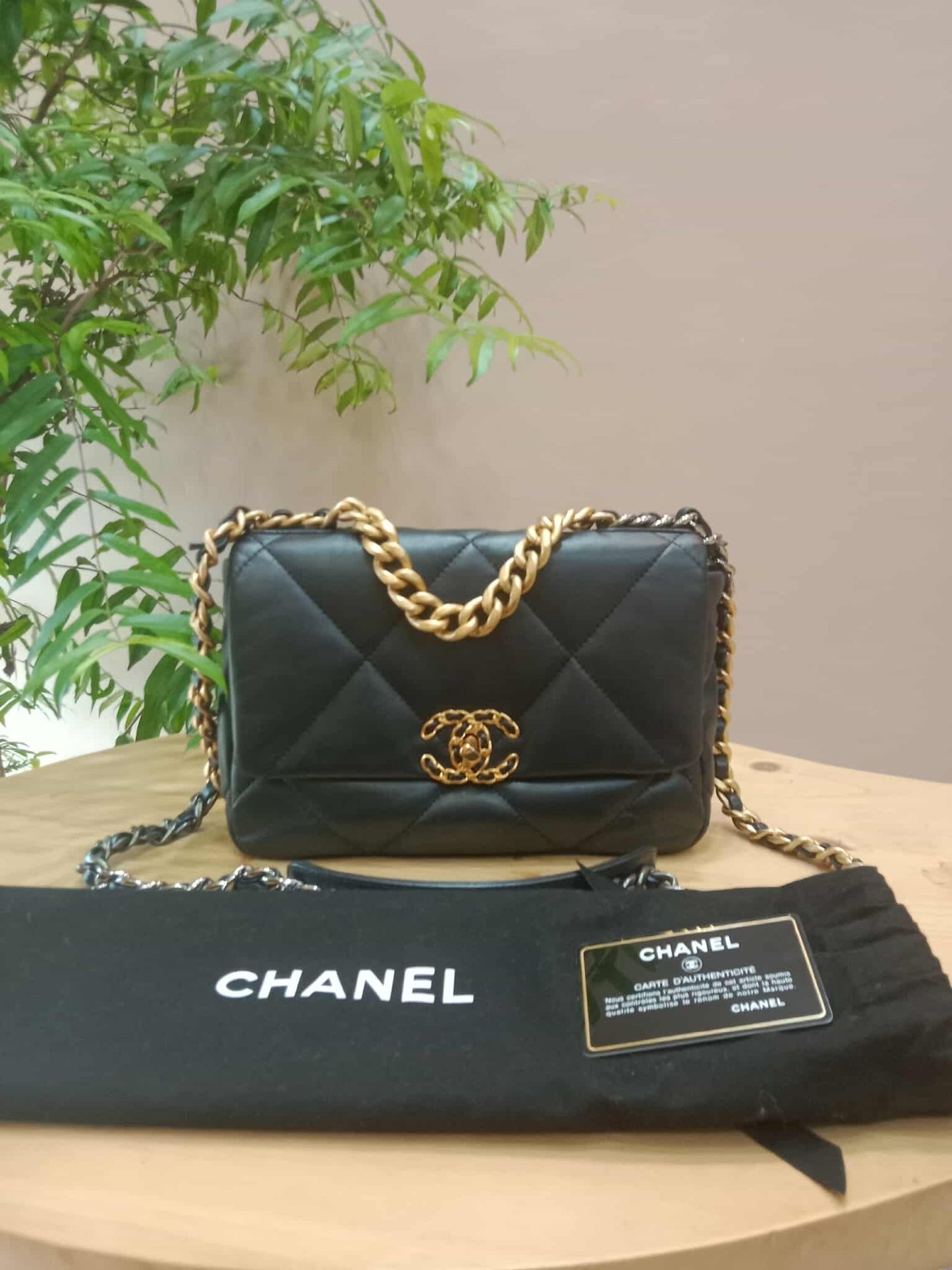 Chanel 19 Beige Midnight Blue Small Series 30