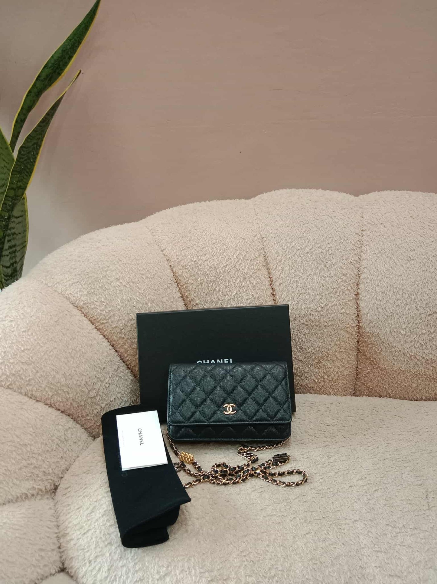 Chanel Classic Wallet on Chain Black Caviar Microchipped