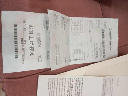 Goyard Sac Anjou Mini Iris Brandnew