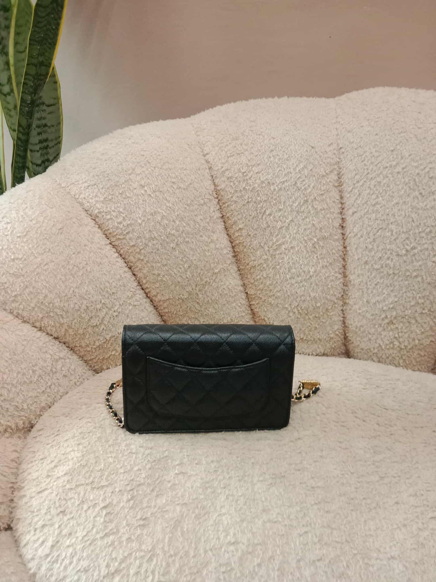 Chanel Classic Wallet on Chain Black Caviar Microchipped