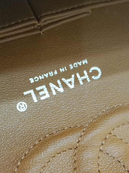Chanel Classic Double Flap Medium Caramel Caviar Series 14