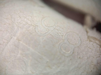 Hermes Evelyne TPM White Clemence Stamp O Square 2011