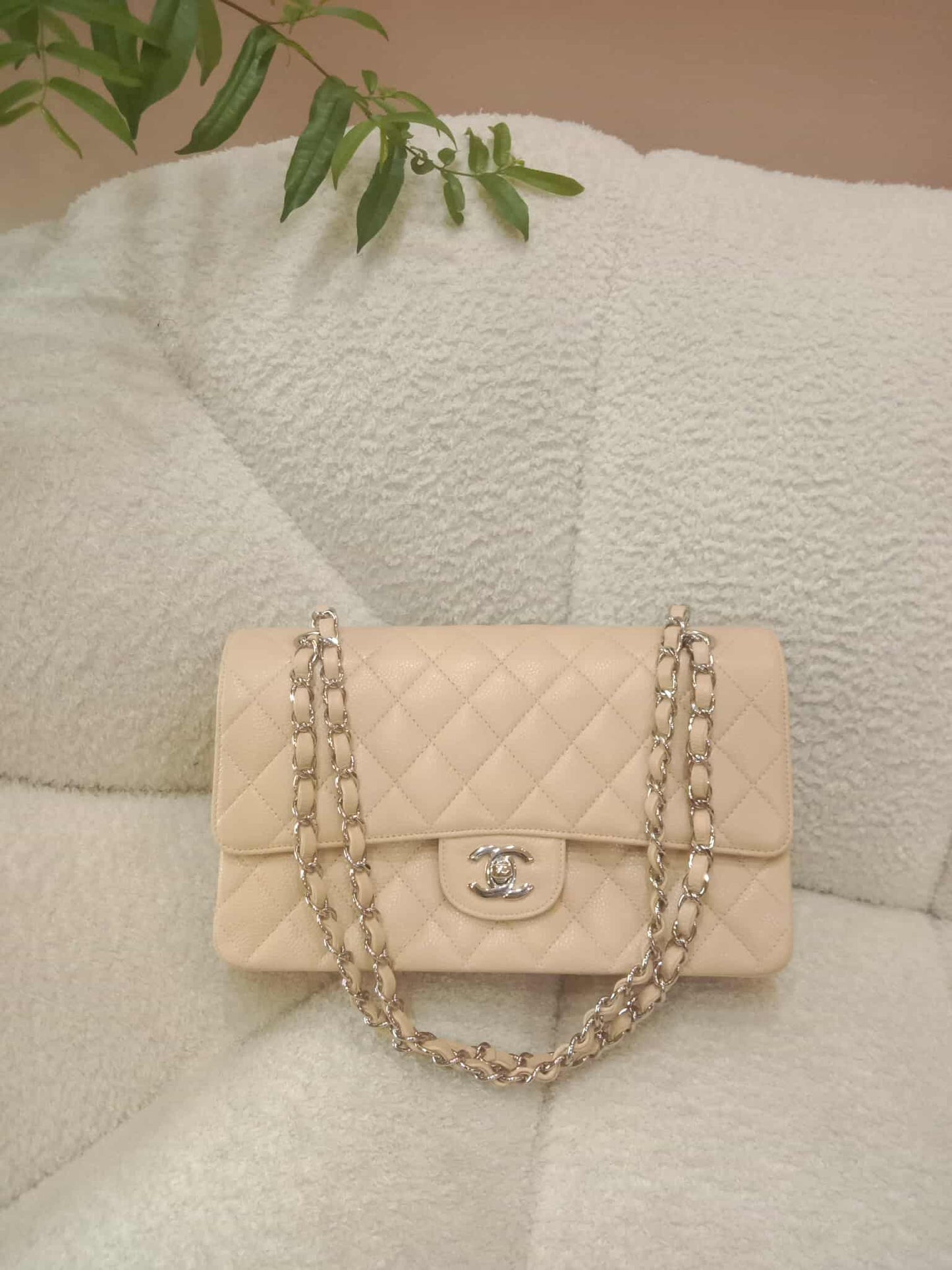 Chanel Classic Double Flap Medium Beige Caviar Series 14
