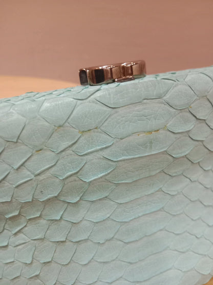 Chanel Mint Green Python Leather Clutch With a Silver-Toned Kiss-Lock Closure Series 15