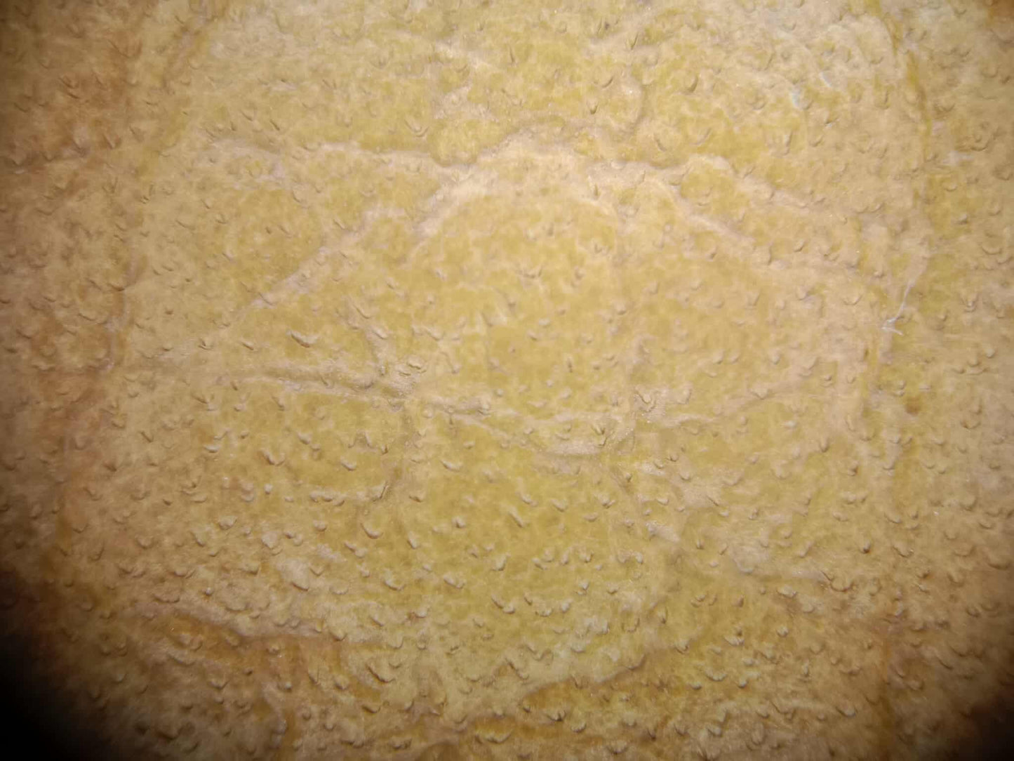 Hermes Birkin 30 Sellier Vache Naturelle Sable Grainee Stamp K 2025