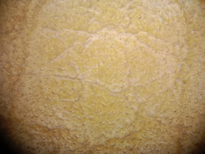 Hermes Birkin 30 Sellier Vache Naturelle Sable Grainee Stamp K 2025