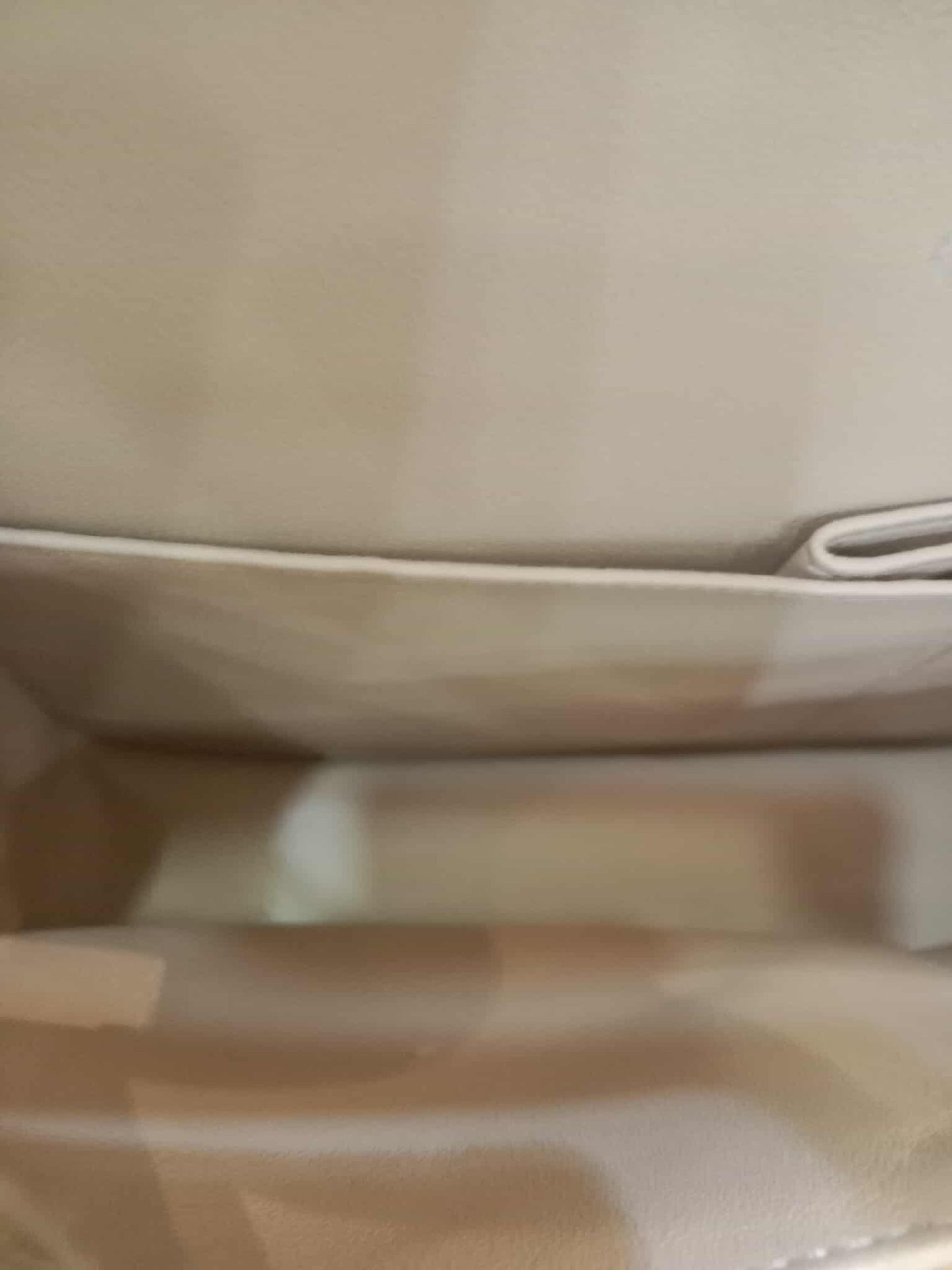 Chanel Classic Double Flap Medium Beige Caviar Series 14