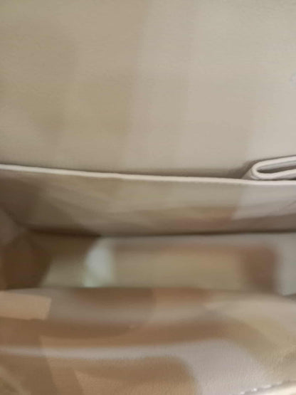 Chanel Classic Double Flap Medium Beige Caviar Series 14