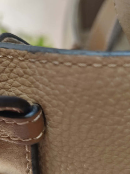 Loewe Hammock Bicolor Taupe/Brown Small Bag