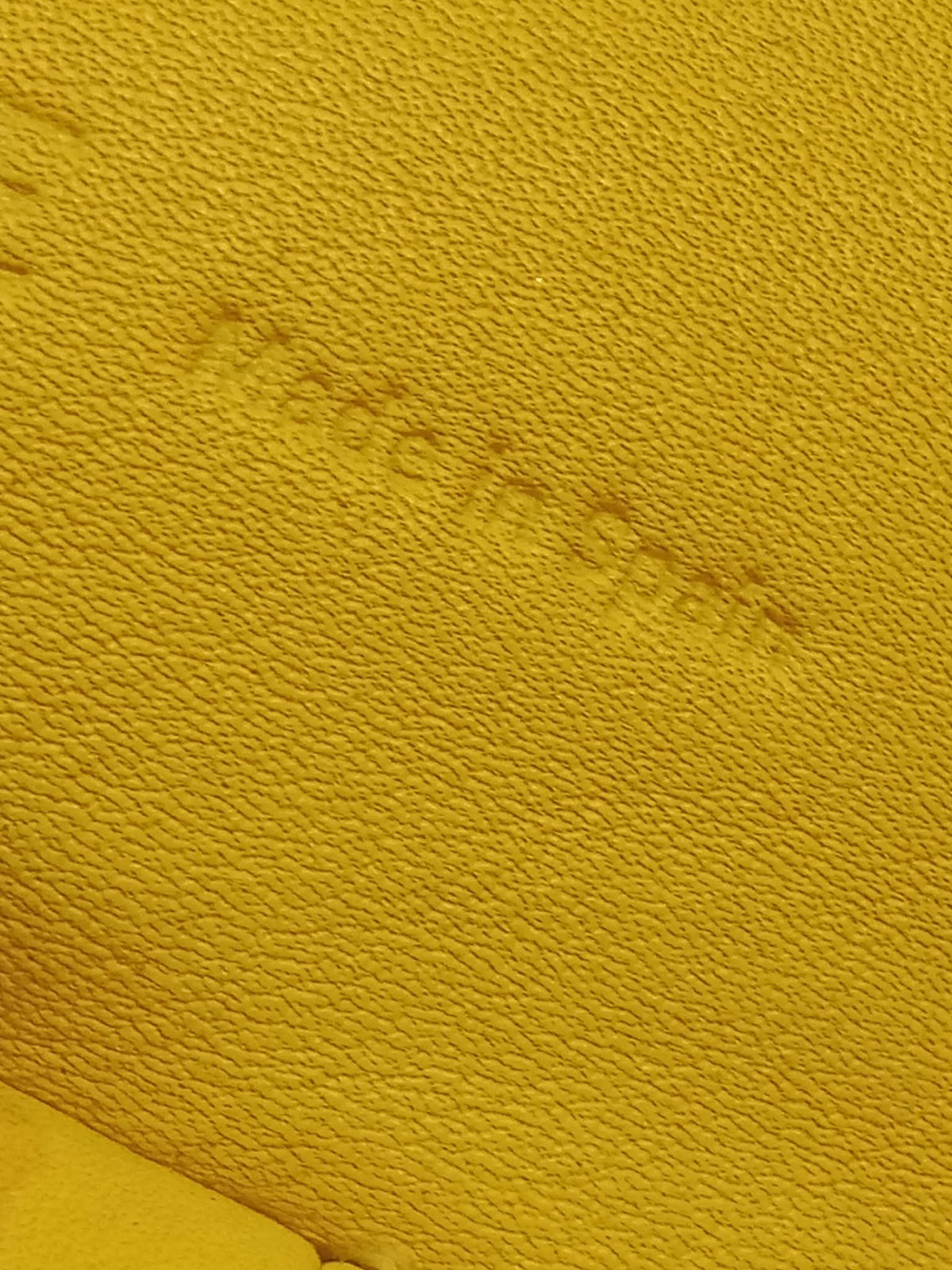 Loewe Bolso Puzzle Hobo Lemon