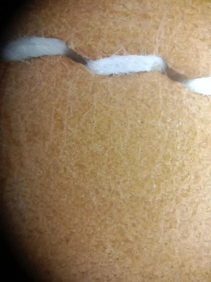 Hermes Birkin 30 Sellier Vache Naturelle Sable Grainee Stamp K 2025