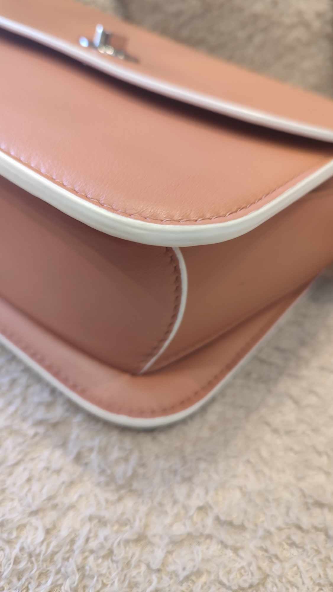 Loro Piana Artemis Salmon Pink Calfskin Bag