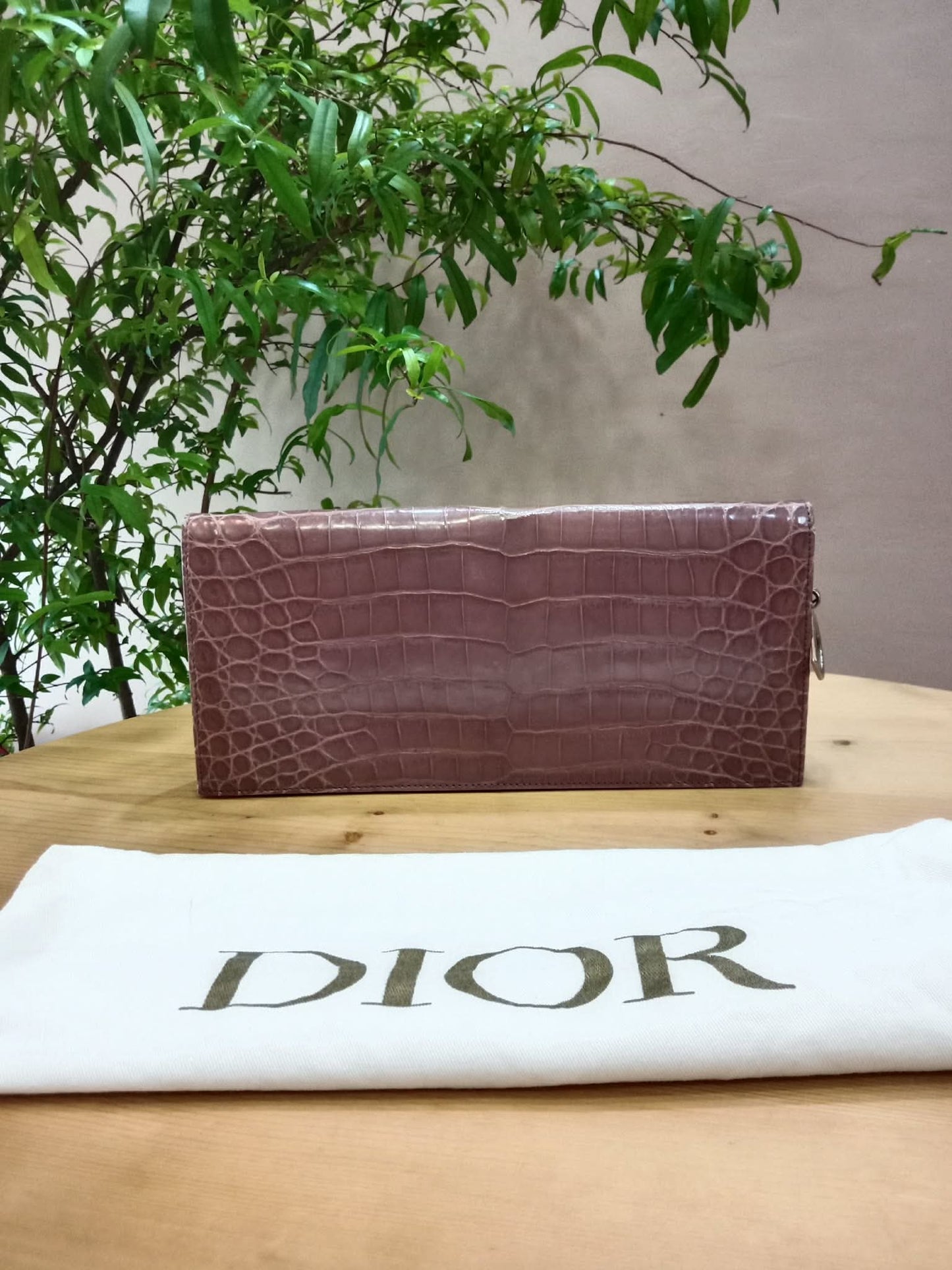 Dior Crocodile Embossed Mauve Clutch