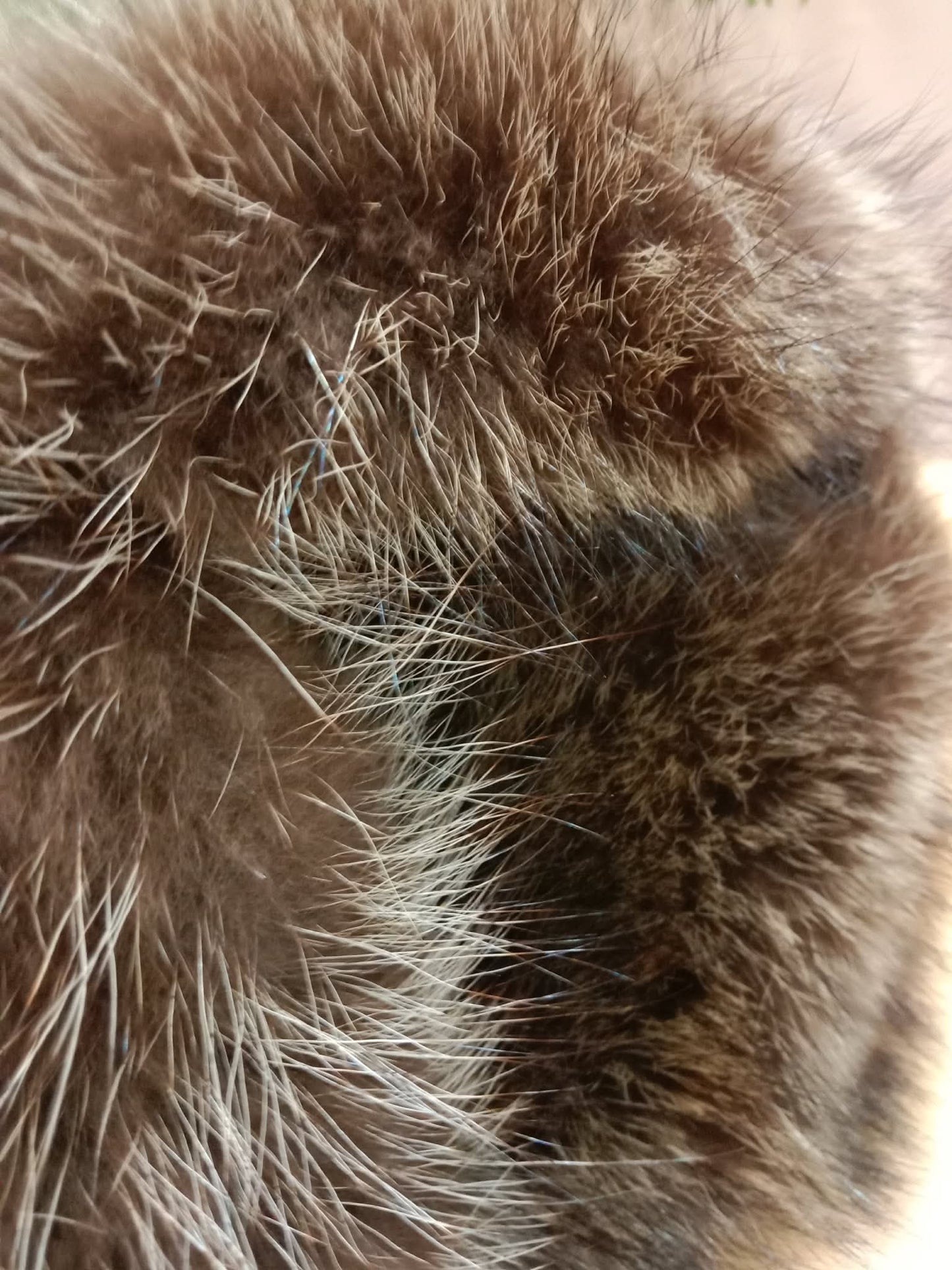 Hermes Black Quilted Leather Raccoon Winter Hat