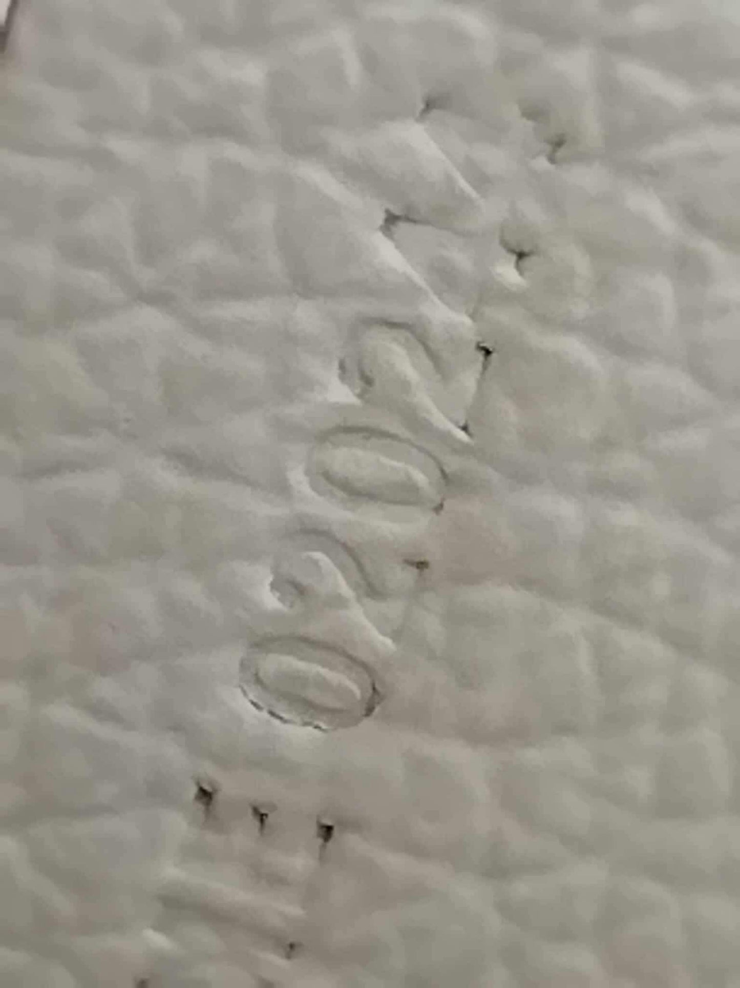 Goyard Bellechasse Biaude White PM