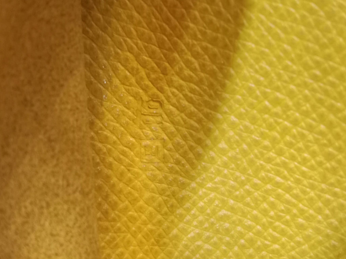 Hermes Agenda Passport Holder Jaune/Gold Epsom Stamp E Square 2001